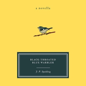 BLACK-THROATED BLUE WARBLER