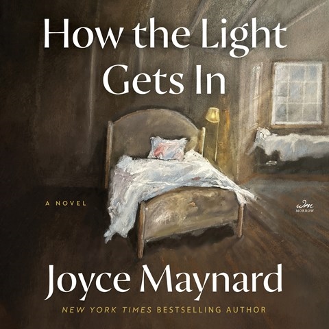 HOW THE LIGHT GETS IN