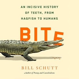 BITE 