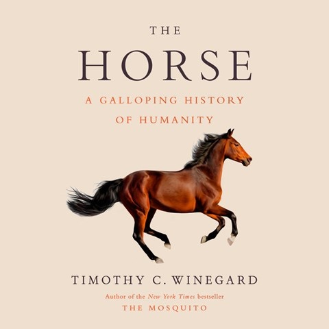 THE HORSE