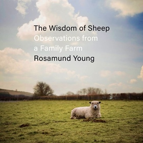 THE WISDOM OF SHEEP