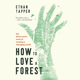 HOW TO LOVE A FOREST