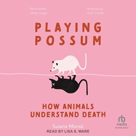 PLAYING POSSUM