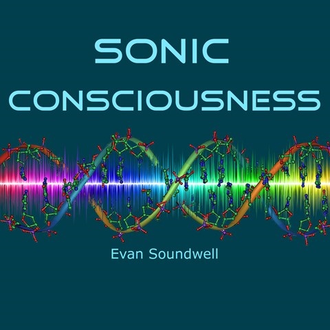 SONIC CONSCIOUSNESS