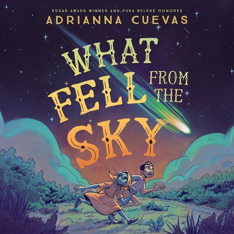 WHAT FELL FROM THE SKY