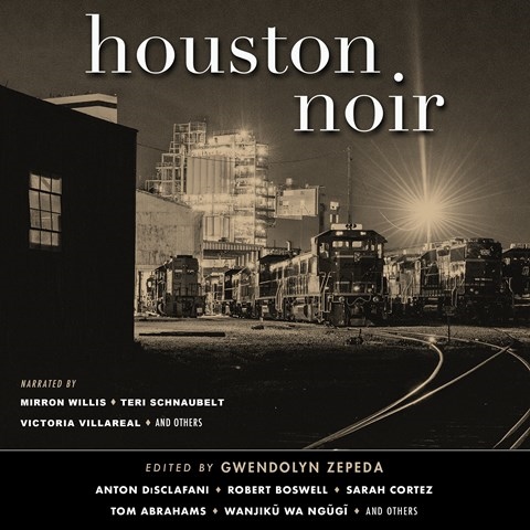 HOUSTON NOIR