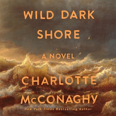 WILD DARK SHORE