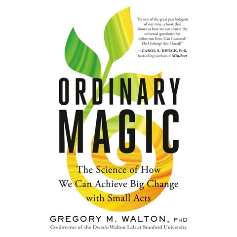 ORDINARY MAGIC