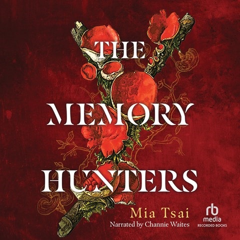 THE MEMORY HUNTERS