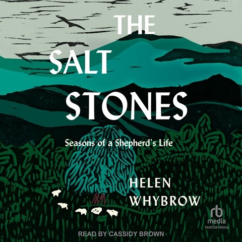 THE SALT STONES