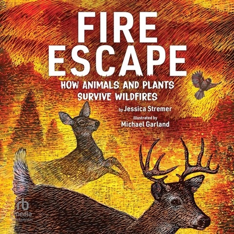 FIRE ESCAPE