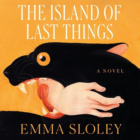 THE ISLAND OF LAST THINGS