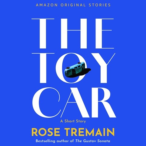 THE TOY CAR