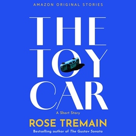 THE TOY CAR