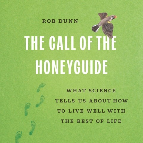 THE CALL OF THE HONEYGUIDE