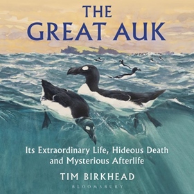 THE GREAT AUK