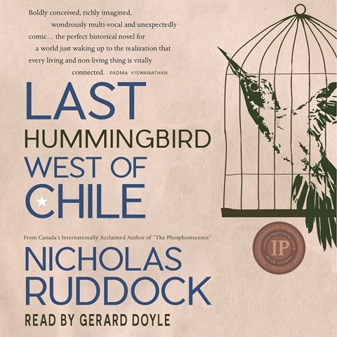 LAST HUMMINGBIRD WEST OF CHILE