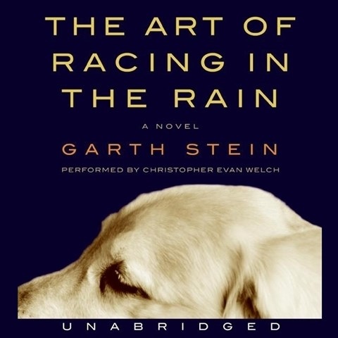 THE ART OF RACING IN THE RAIN