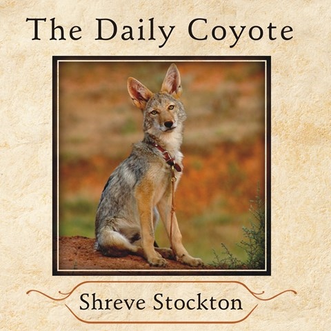 THE DAILY COYOTE
