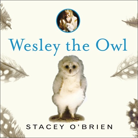 WESLEY THE OWL