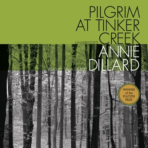 PILGRIM AT TINKER CREEK