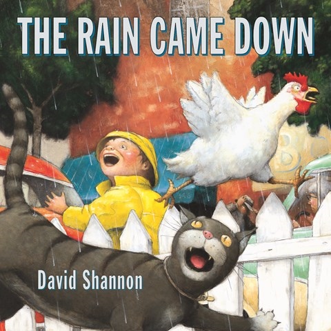 THE RAIN CAME DOWN