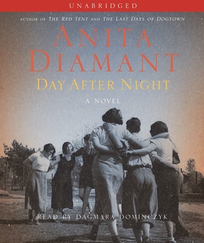 DAY AFTER NIGHT