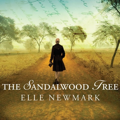 SANDALWOOD TREE