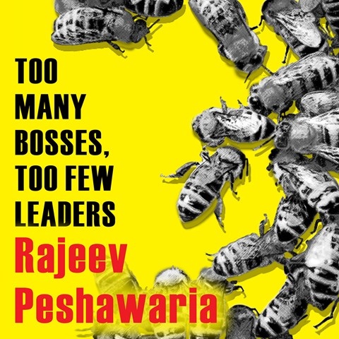 TOO MANY BOSSES, TOO FEW LEADERS