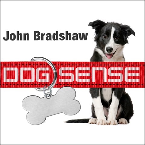DOG SENSE