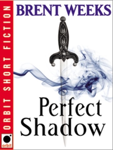 PERFECT SHADOW