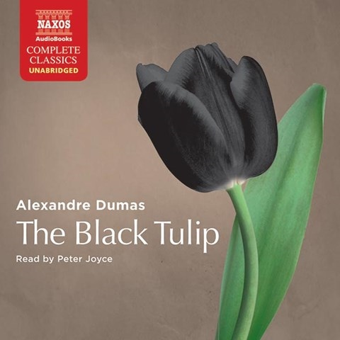 THE BLACK TULIP