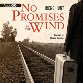 NO PROMISES IN THE WIND