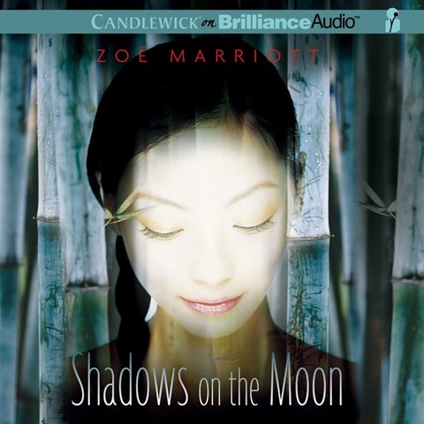 SHADOWS ON THE MOON