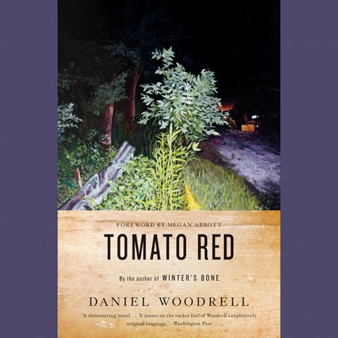 TOMATO RED