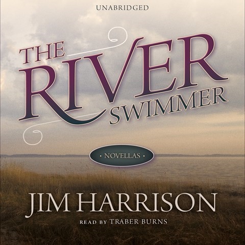 THE RIVER SWIMMER