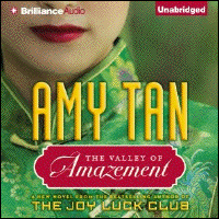 THE VALLEY OF AMAZEMENT