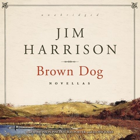 BROWN DOG