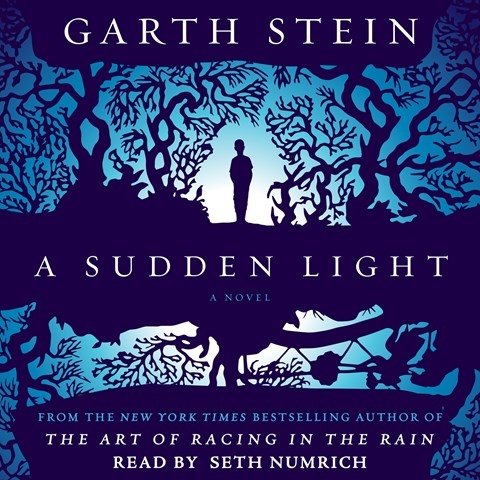 A SUDDEN LIGHT