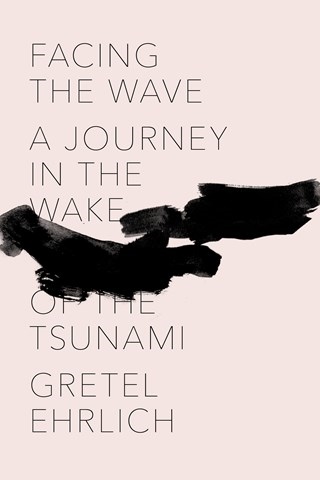 FACING THE WAVE