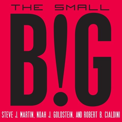 THE SMALL BIG