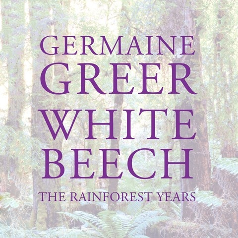 WHITE BEECH