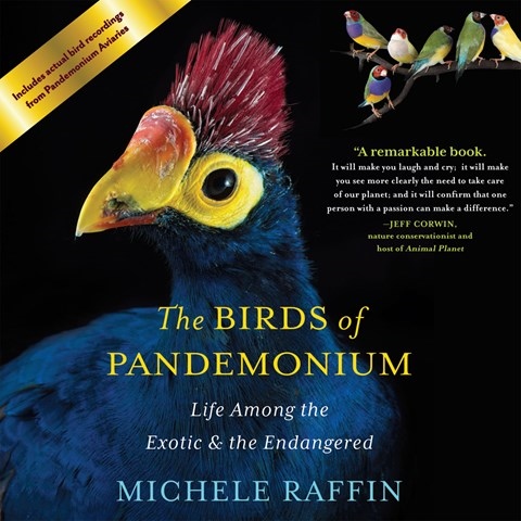 THE BIRDS OF PANDEMONIUM